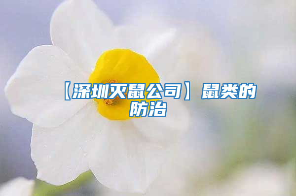 【深圳滅鼠公司】鼠類(lèi)的防治