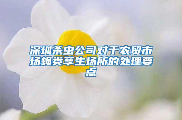 深圳殺蟲(chóng)公司對(duì)于農(nóng)貿(mào)市場(chǎng)蠅類(lèi)孳生場(chǎng)所的處理要點(diǎn)