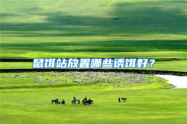 鼠餌站放置哪些誘餌好?