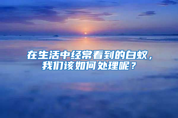 在生活中經常看到的白蟻,我們該如何處理呢?