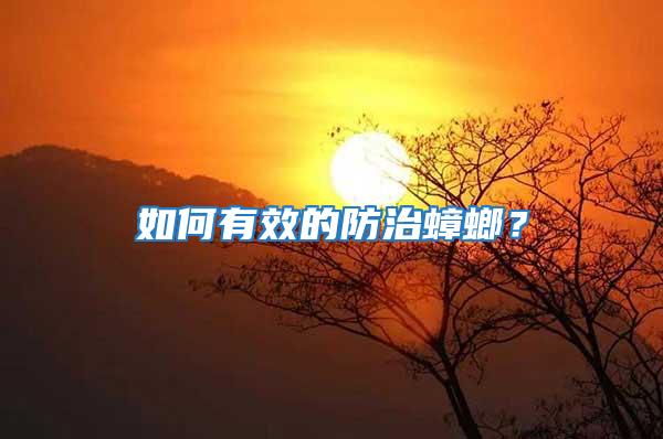 如何有效的防治蟑螂?