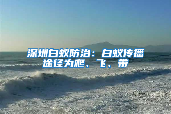 深圳白蟻防治:白蟻傳播途徑為爬、飛、帶
