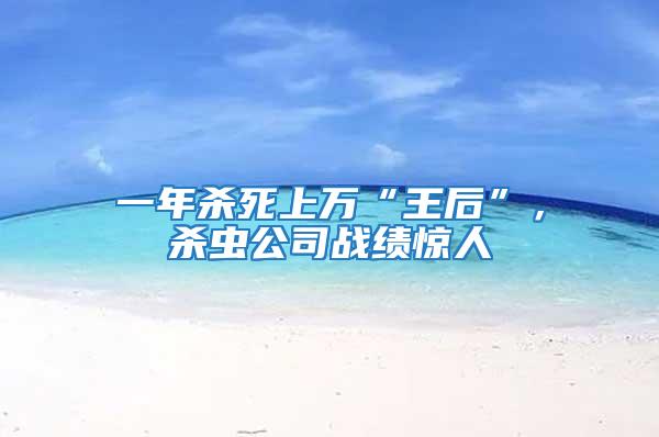 一年殺死上萬“王后”,殺蟲公司戰(zhàn)績驚人