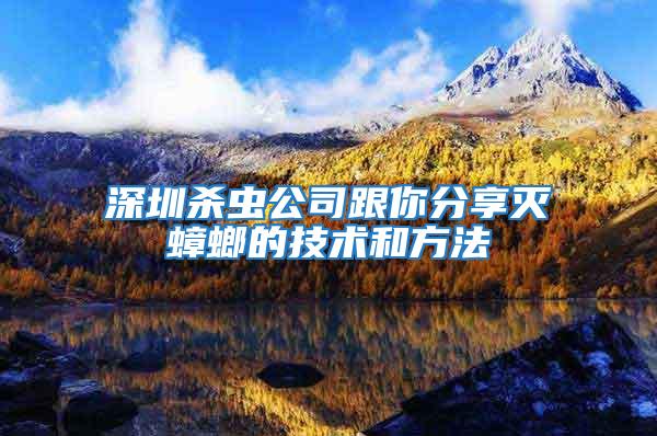 深圳殺蟲公司跟你分享滅蟑螂的技術和方法