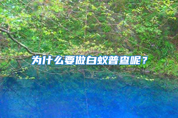 為什么要做白蟻普查呢?