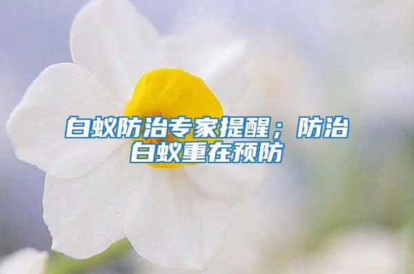白蟻防治專家提醒;防治白蟻重在預防