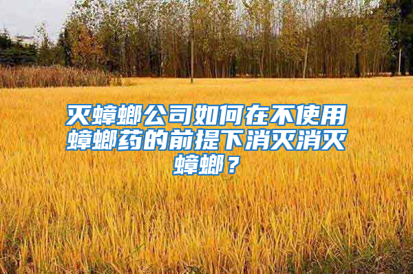 滅蟑螂公司如何在不使用蟑螂藥的前提下消滅消滅蟑螂？