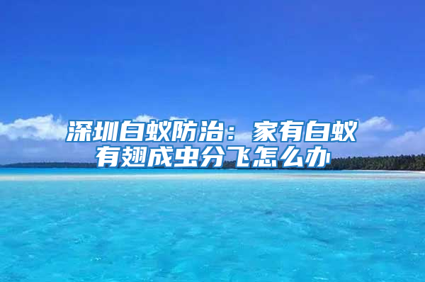 深圳白蟻防治:家有白蟻有翅成蟲分飛怎么辦