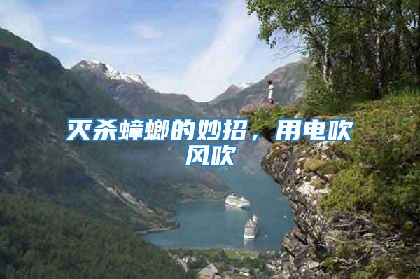 滅殺蟑螂的妙招，用電吹風(fēng)吹