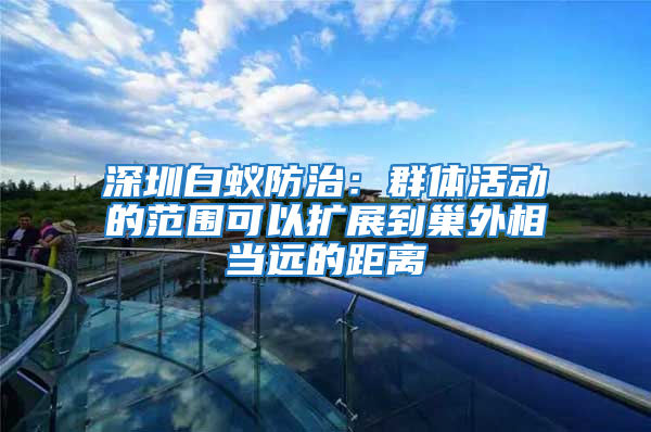 深圳白蟻防治:群體活動的范圍可以擴展到巢外相當遠的距離