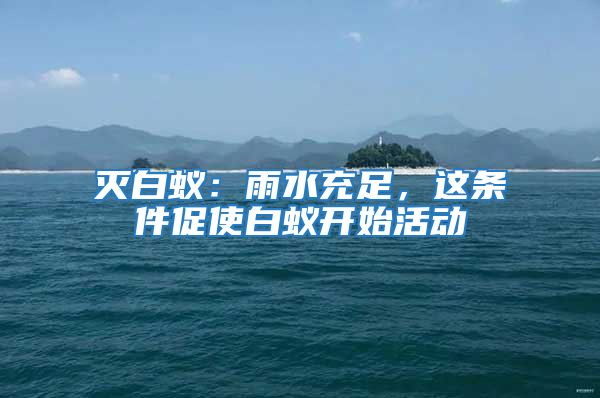 滅白蟻:雨水充足,這條件促使白蟻開(kāi)始活動(dòng)