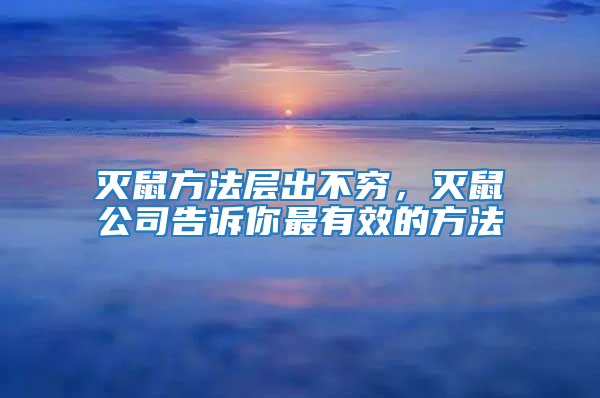 滅鼠方法層出不窮,滅鼠公司告訴你最有效的方法
