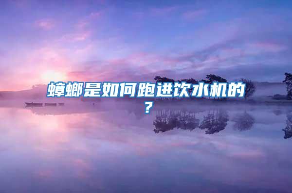 蟑螂是如何跑進飲水機的?