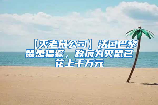 【滅老鼠公司】法國巴黎鼠患猖獗,政府為滅鼠已花上千萬元