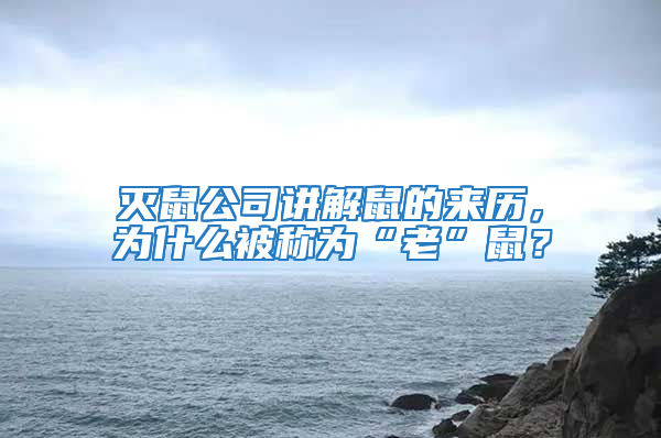 滅鼠公司講解鼠的來歷，為什么被稱為“老”鼠？