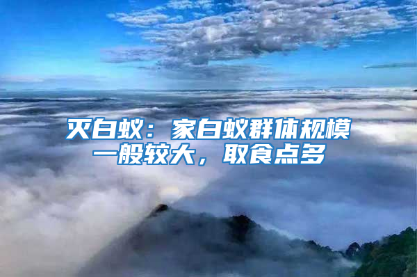滅白蟻:家白蟻群體規(guī)模一般較大,取食點(diǎn)多