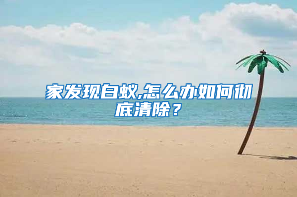 家發(fā)現(xiàn)白蟻,怎么辦如何徹底清除?
