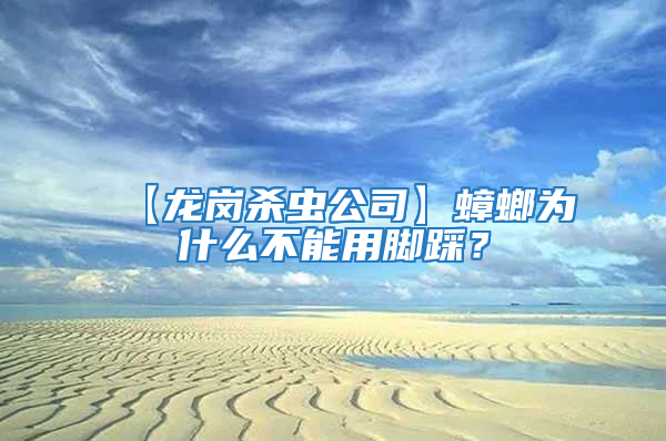 【龍崗殺蟲公司】蟑螂為什么不能用腳踩?