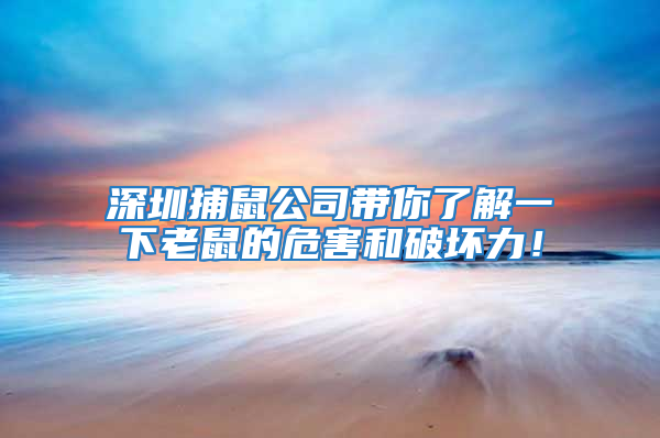 深圳捕鼠公司帶你了解一下老鼠的危害和破壞力!