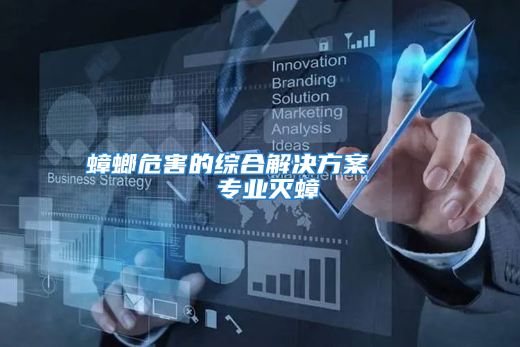 蟑螂危害的綜合解決方案 專業滅蟑