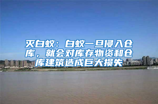 滅白蟻:白蟻一旦侵入倉庫,就會對庫存物資和倉庫建筑造成巨大損失