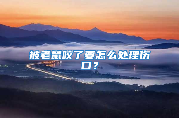 被老鼠咬了要怎么處理傷口？