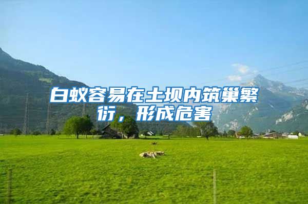 白蟻容易在土壩內筑巢繁衍,形成危害