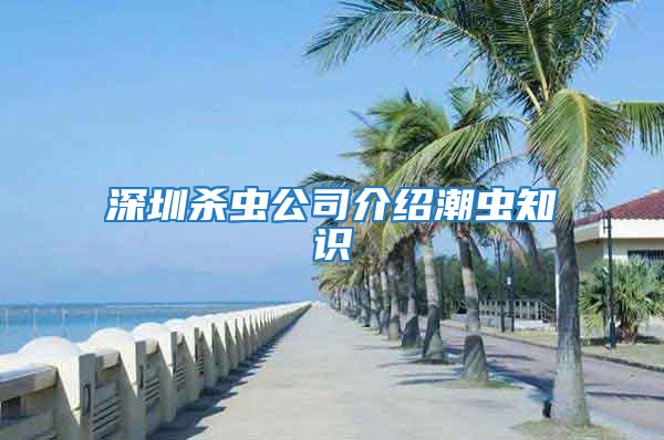 深圳殺蟲公司介紹潮蟲知識