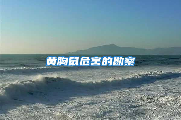 黃胸鼠危害的勘察