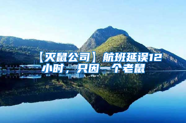 【滅鼠公司】航班延誤12小時,只因一個老鼠