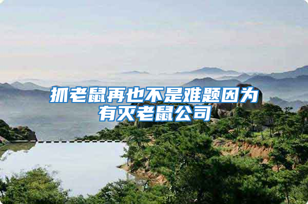 抓老鼠再也不是難題因?yàn)橛袦缋鲜蠊?/></p>
             <p style=