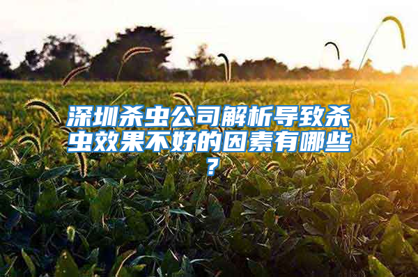 深圳殺蟲公司解析導(dǎo)致殺蟲效果不好的因素有哪些?