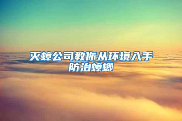 滅蟑公司教你從環境入手防治蟑螂
