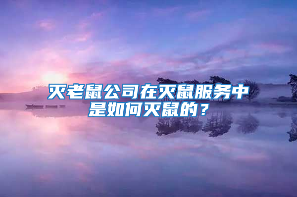 滅老鼠公司在滅鼠服務中是如何滅鼠的?