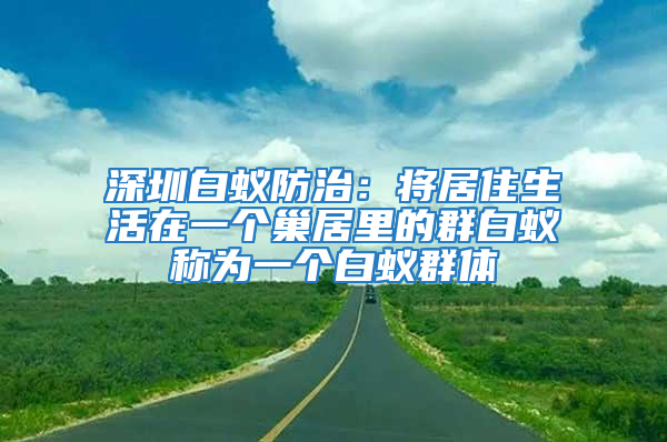 深圳白蟻防治:將居住生活在一個巢居里的群白蟻稱為一個白蟻群體