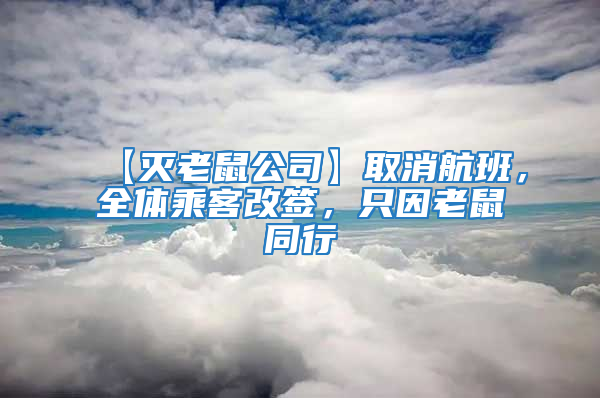【滅老鼠公司】取消航班,全體乘客改簽,只因老鼠同行