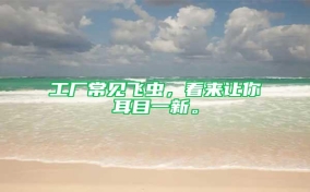 工廠常見飛蟲，看來讓你耳目一新。