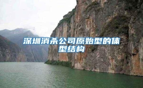 深圳消殺公司原始型的體型結構