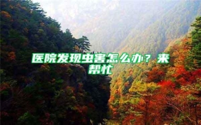 醫院發現蟲害怎么辦？來幫忙