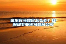 家里有馬蜂窩怎么辦？找深圳專業滅馬蜂窩公司